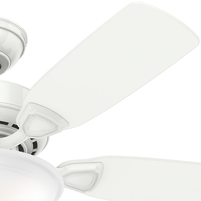 Hunter Fan 44" Auberville 5Blade Ceiling Fan & Reviews Wayfair